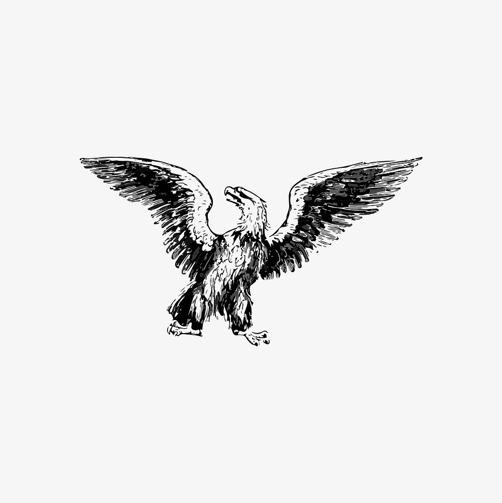 Flying eagle illustration vector