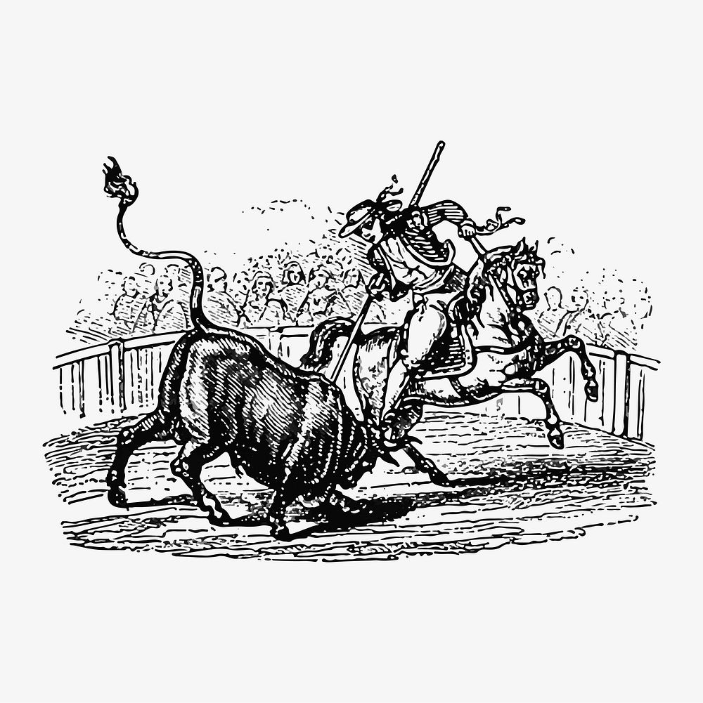 Bullfight illustration vector