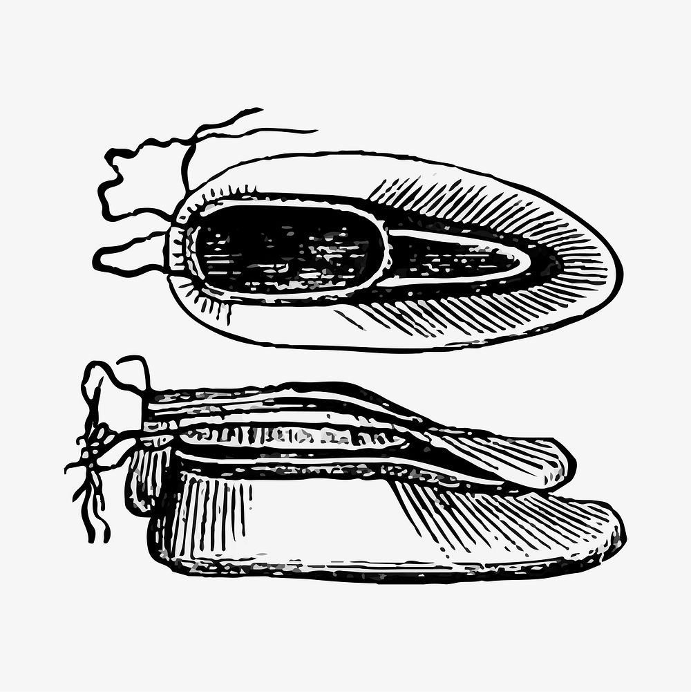 Eskimo shoes illustration vector
