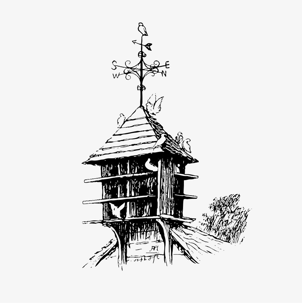 Birdhouse and birds illustration vector
