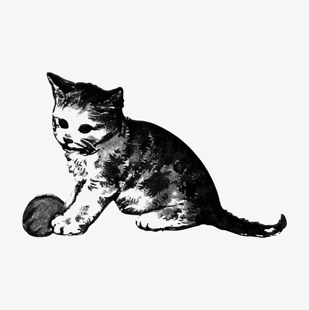 Playful kitten illustration vector