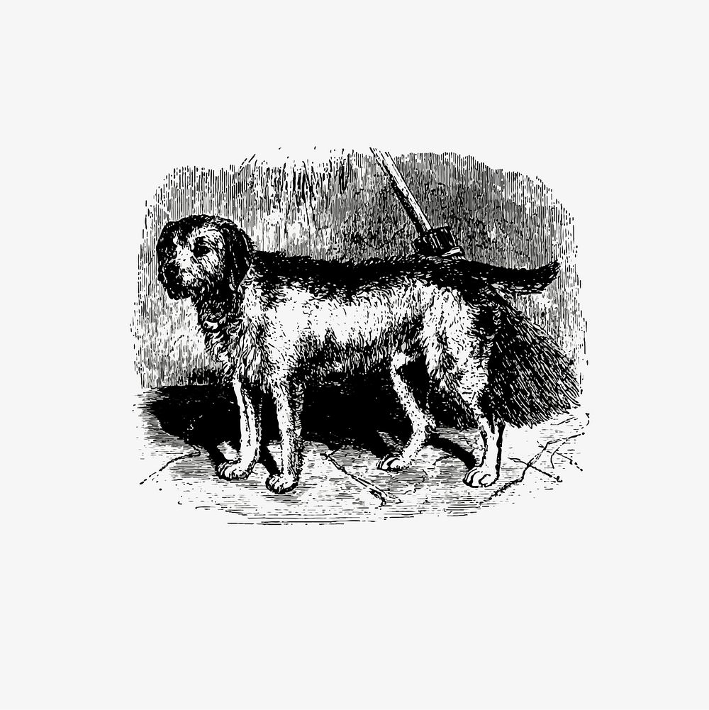 Rustic dog illustration vector