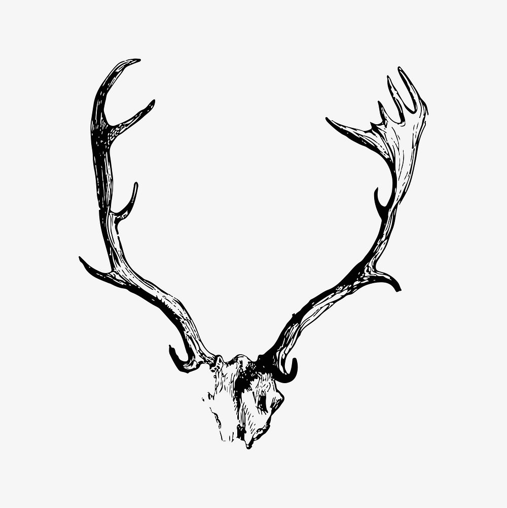 Deer horns illustration vector