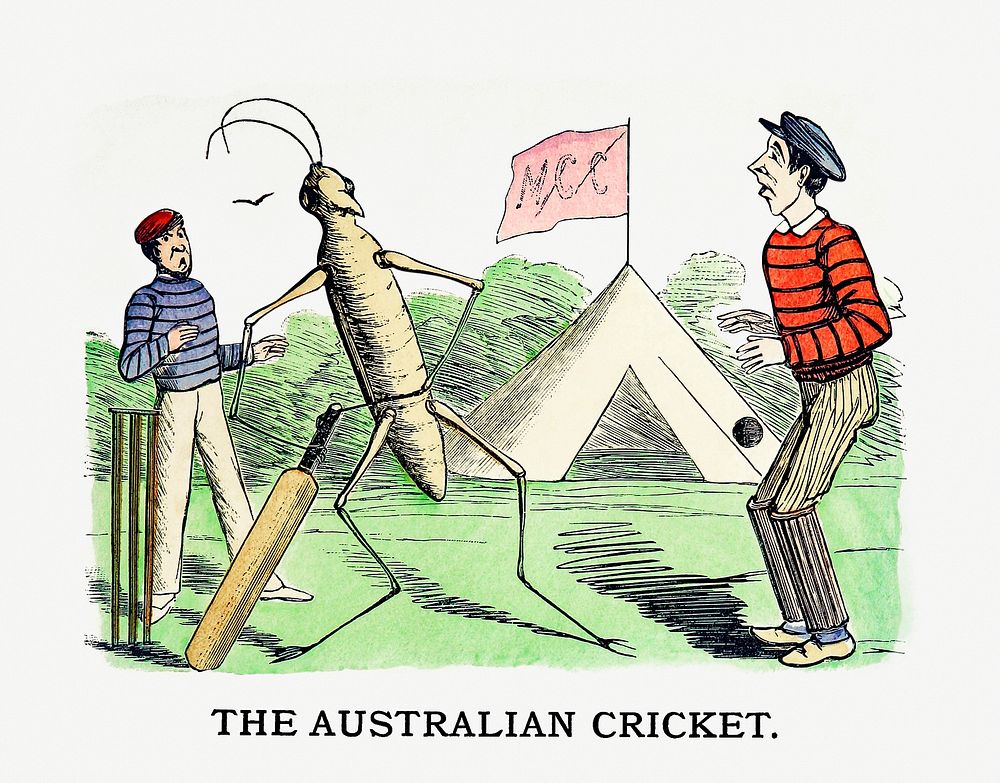 Drawing of the Australian cricket