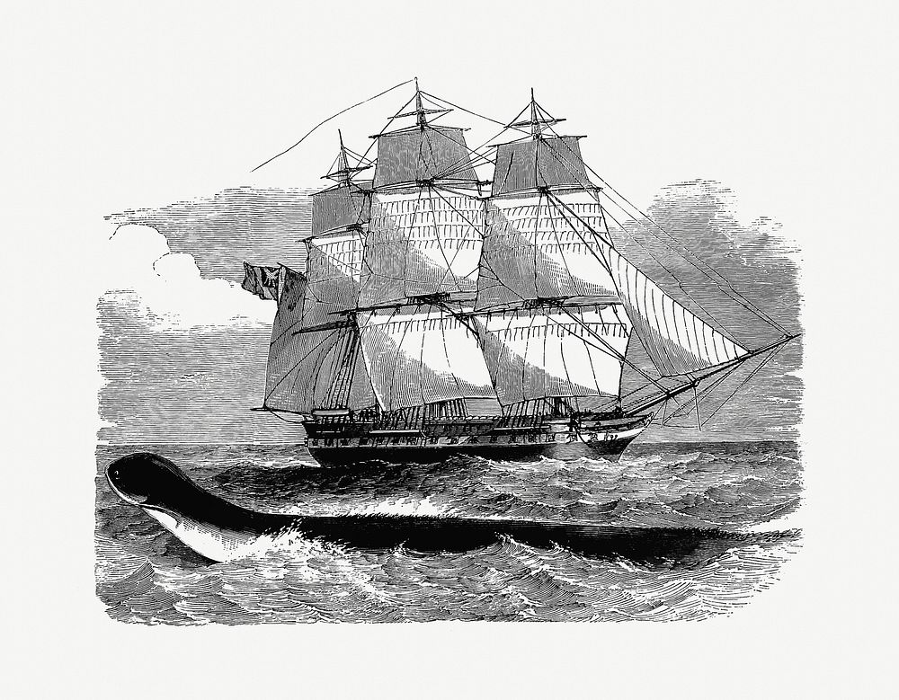 Drawing of a sailing ship