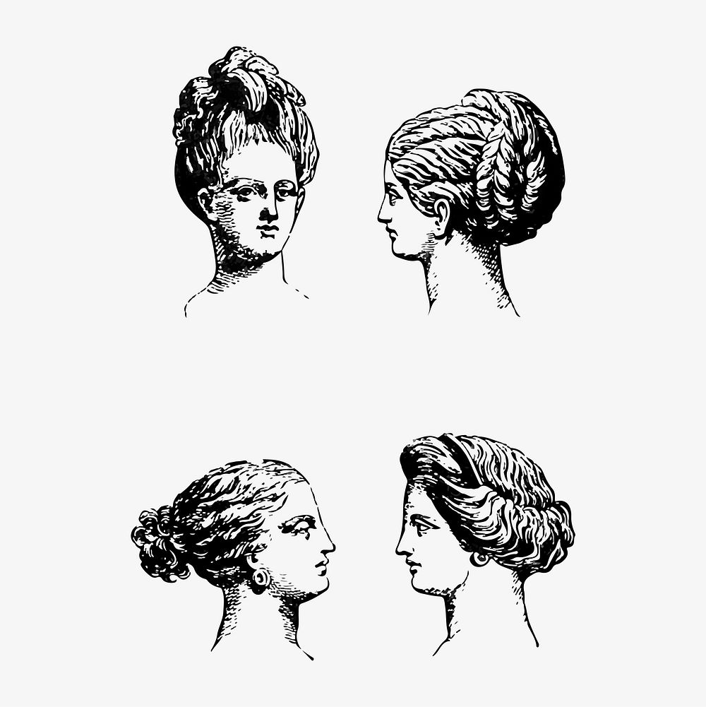 Feminine hairstyles illustration vector