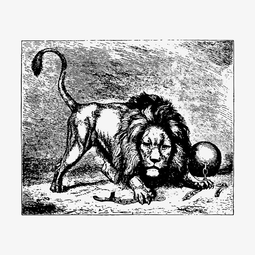 Aggressive lion illustration vector