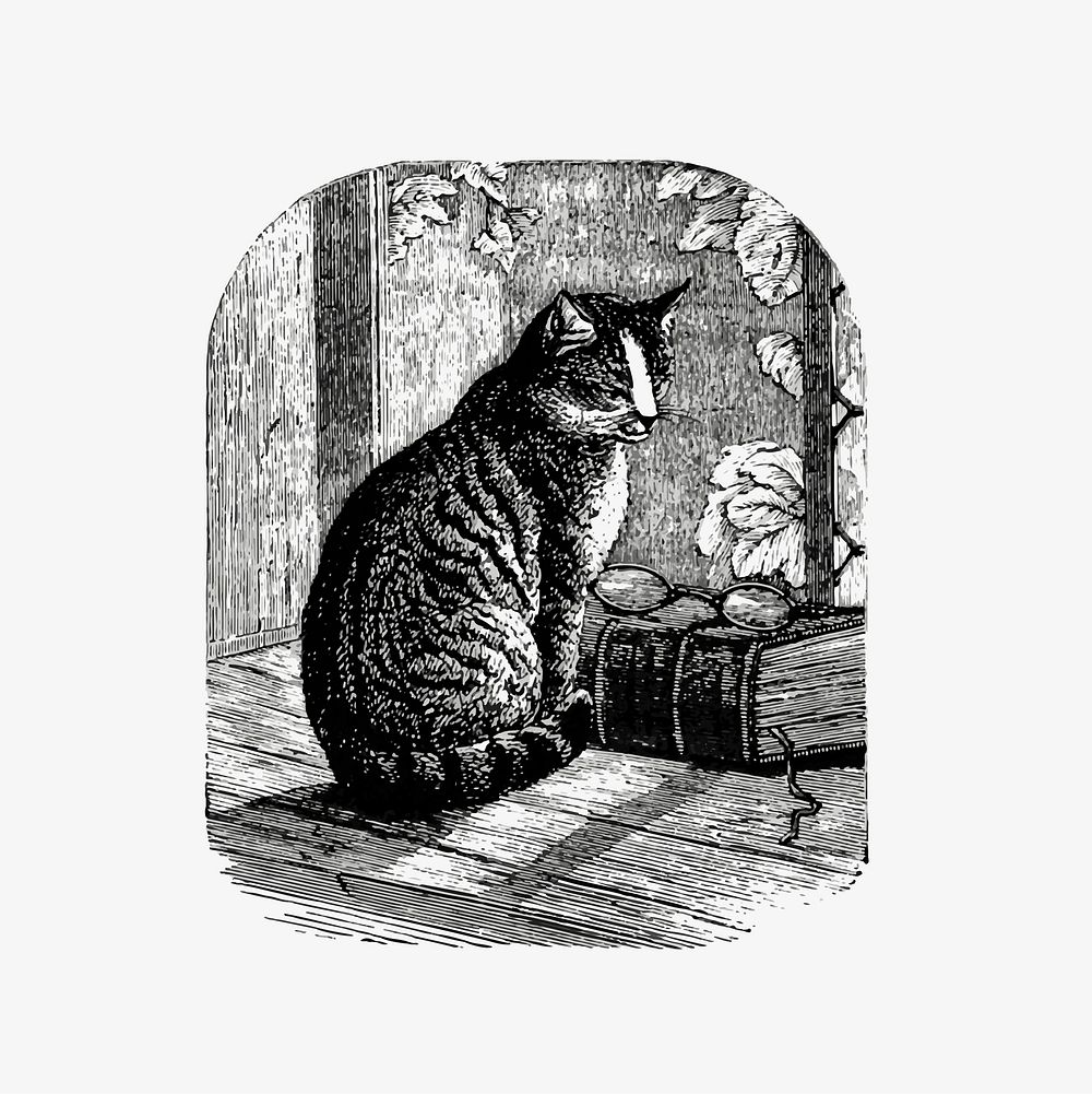 Domestic cat illustration vector