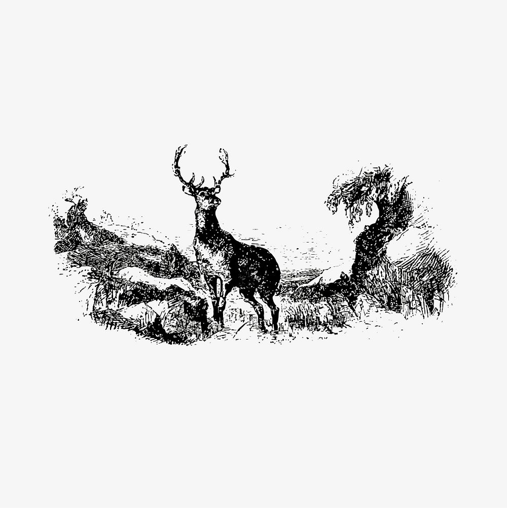 Wild deer illustration vector
