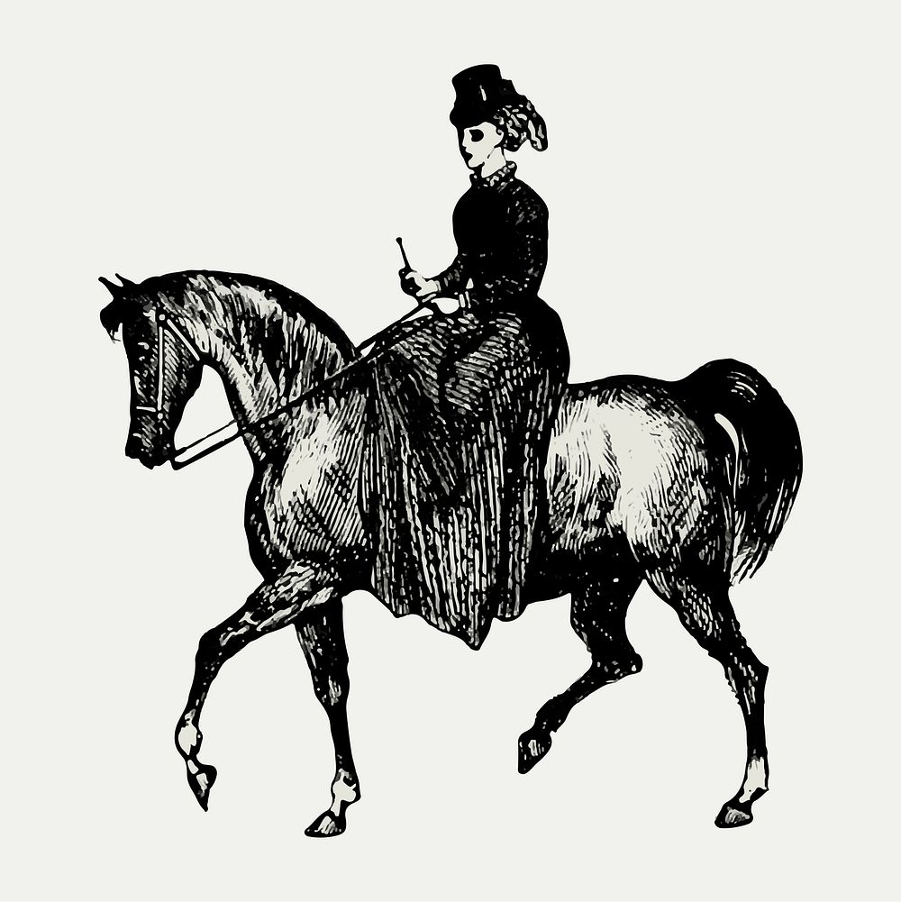 Vintage European style horseback riding engraving
