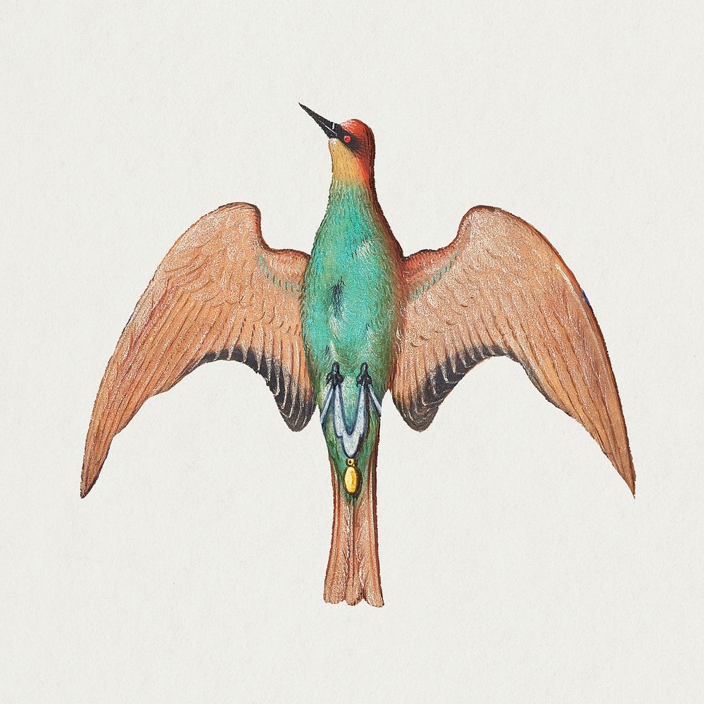 Hand drawn psd vintage green woodpecker bird
