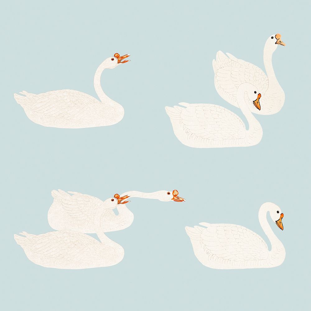 White geese illustrations