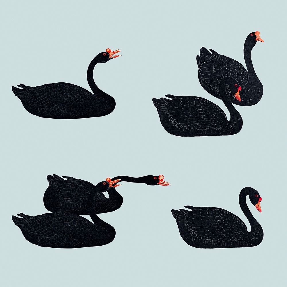 Black geese bird design resources 