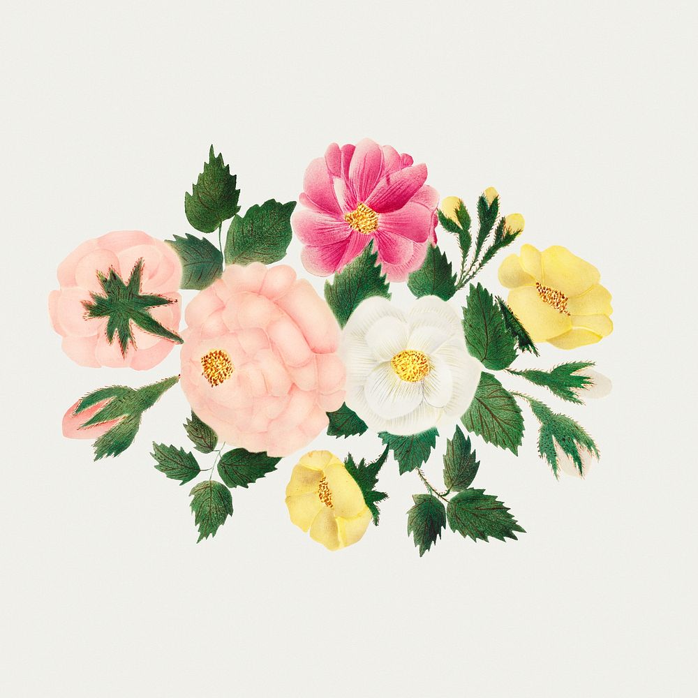 June Roses by Mary Altha Nims (1817&ndash;1907). Original from The Cleveland Museum of Art. Digitally enhanced by rawpixel.