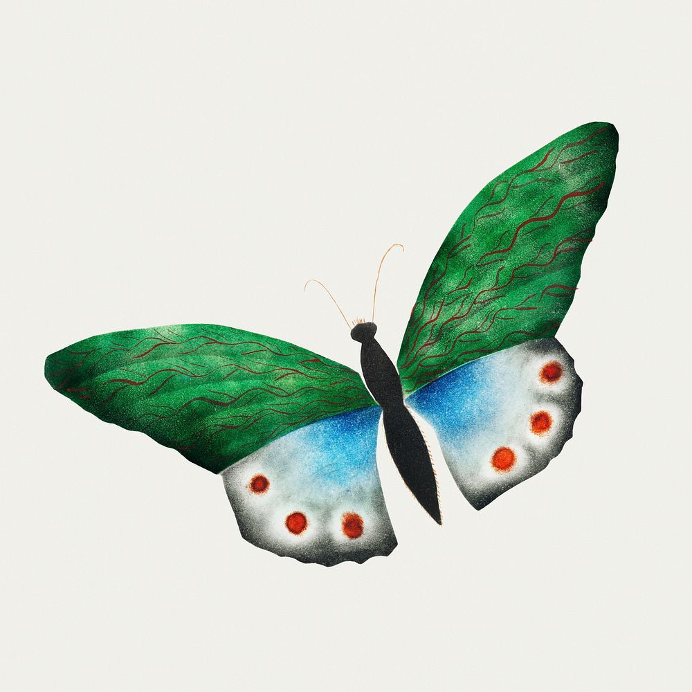 Butterfly by Mary Altha Nims (1817&ndash;1907). Original from The Cleveland Museum of Art. Digitally enhanced by rawpixel.