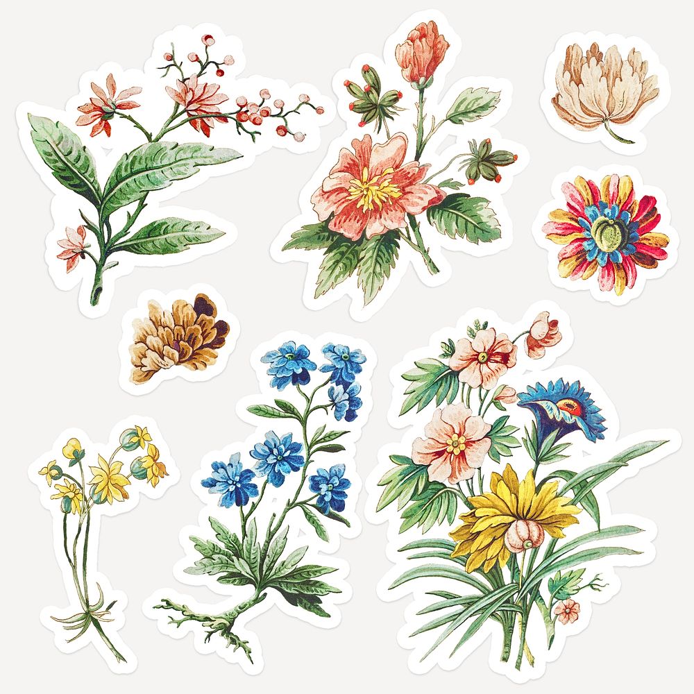 Vintage blooming flower sticker set design elements