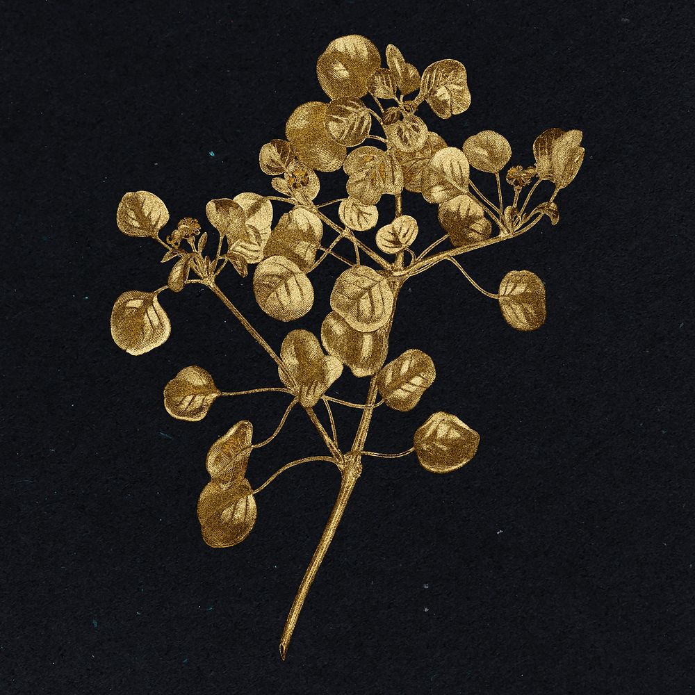 Gold Manchineel berry plant sticker design element