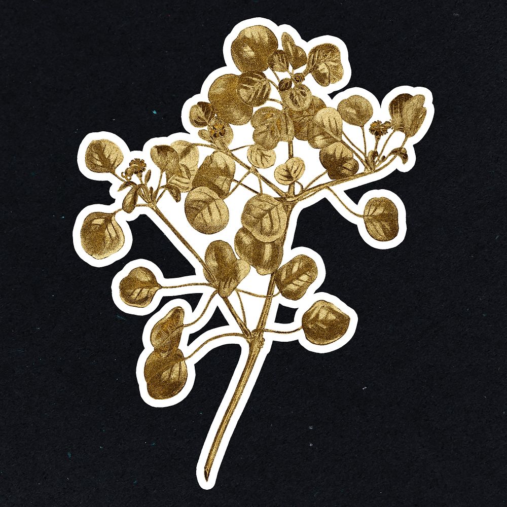 Vintage gold Manchineel berry plant sticker with white border