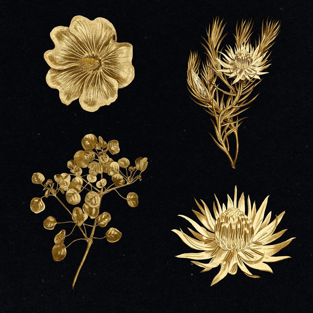 Set of blooming gold flower sticker design resource