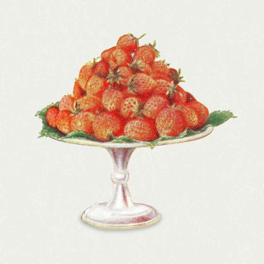 Vintage hand drawn strawberries design element