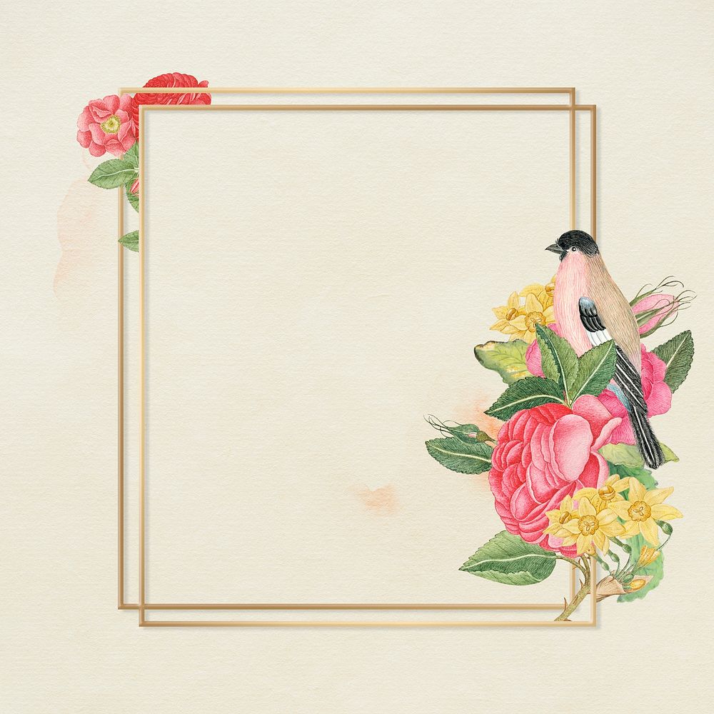 Floral gold frame psd, remixed from the 18th-century artworks from the Smithsonian archive.