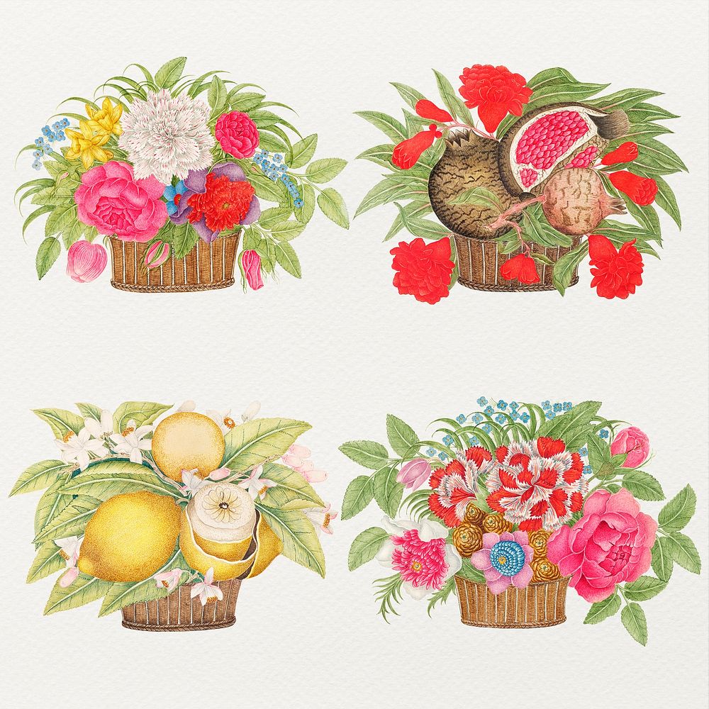 Vintage basket of flowers and fruits psd illustration set, remixed from the 18th-century artworks from the Smithsonian…