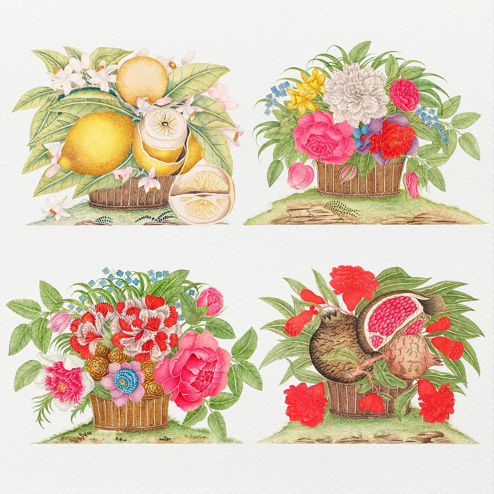 Vintage basket of flowers and fruits psd illustration set, remixed from the 18th-century artworks from the Smithsonian…
