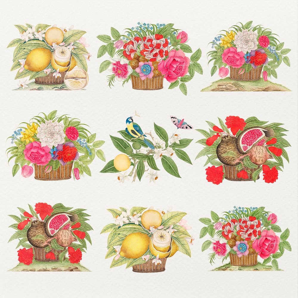 Vintage basket of flowers and fruits psd illustration set, remixed from the 18th-century artworks from the Smithsonian…