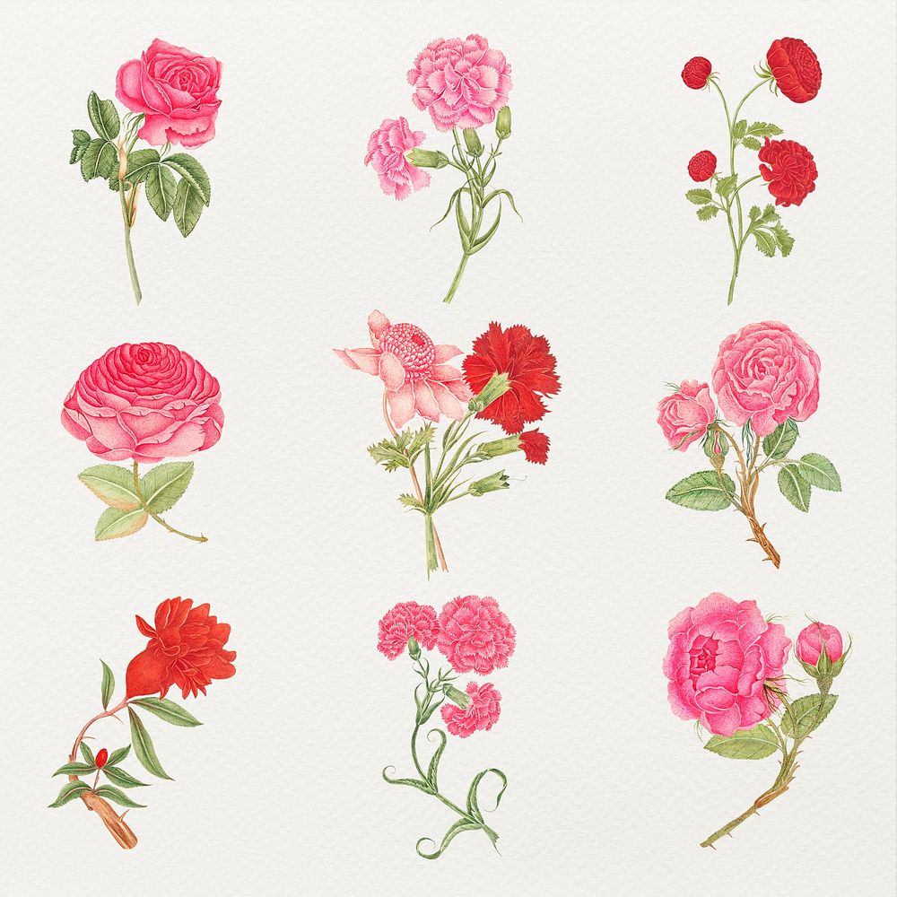 Vintage flowers psd illustration set, remixed from the 18th-century artworks from the Smithsonian archive.