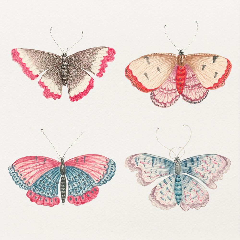 Vintage butterfly and moth watercolor psd illustration set, remixed from the 18th-century artworks from the Smithsonian…