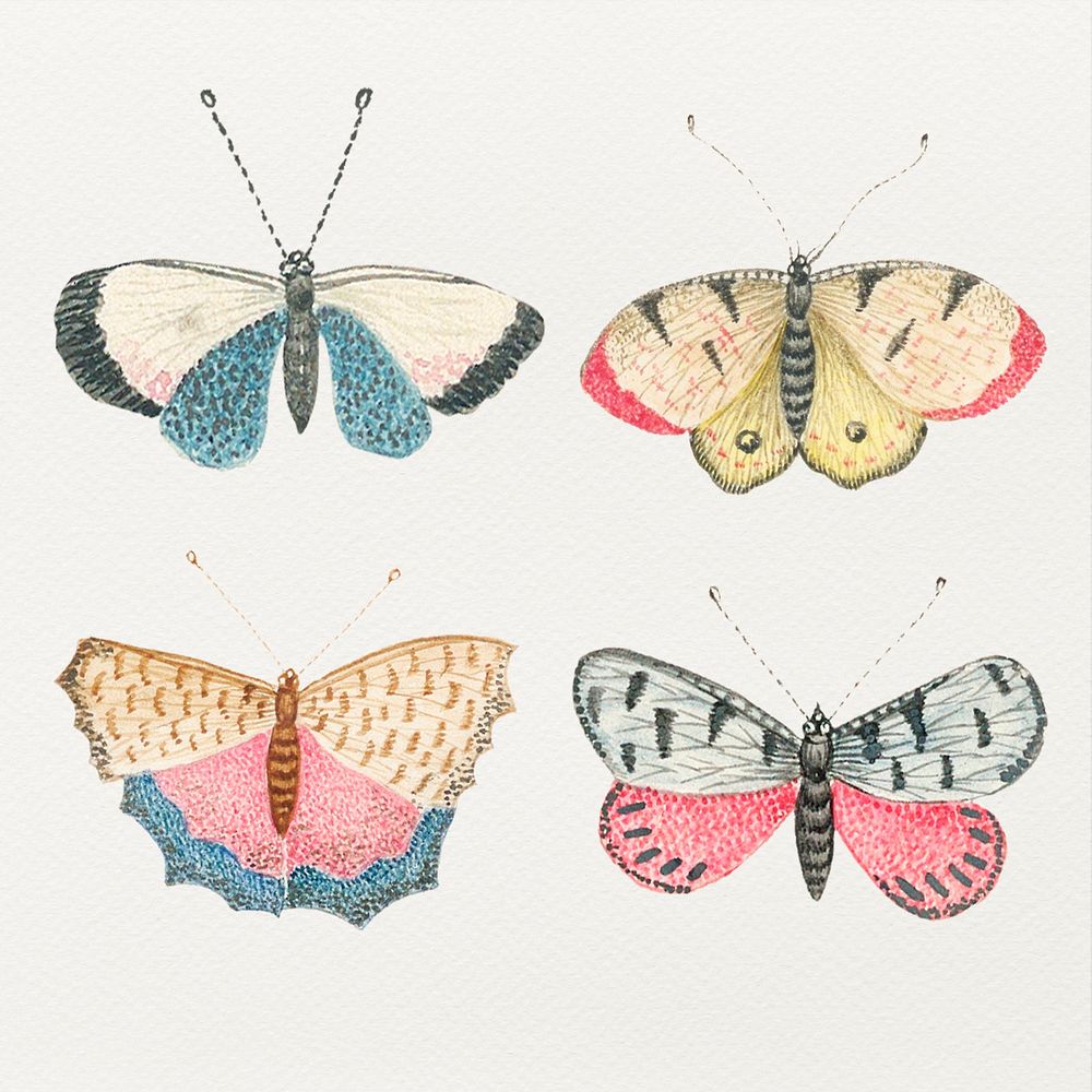 Psd vintage butterfly and moth watercolor illustration set, remixed from the 18th-century artworks from the Smithsonian…