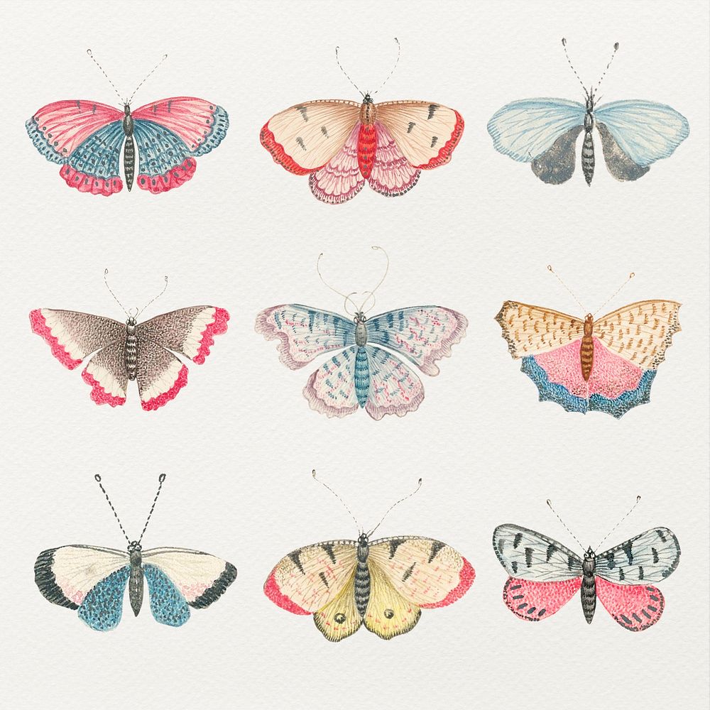 Vintage butterfly and moth watercolor psd illustration set, remixed from the 18th-century artworks from the Smithsonian…