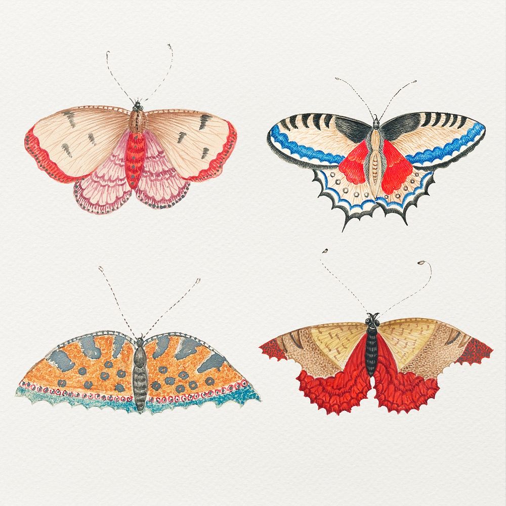 Vintage watercolor butterfly and moth psd illustration set, remixed from the 18th-century artworks from the Smithsonian…