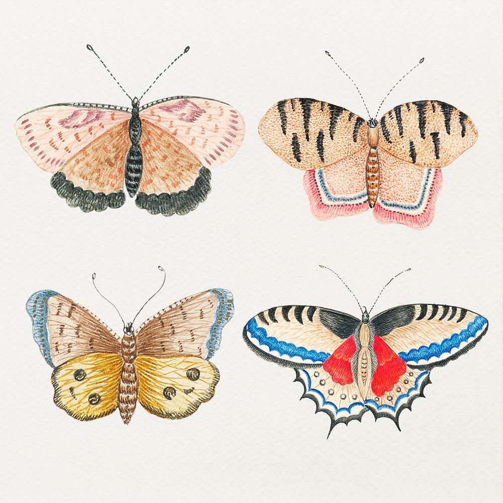 Psd vintage butterfly and moth watercolor psd illustration set, remixed from the 18th-century artworks from the Smithsonian…