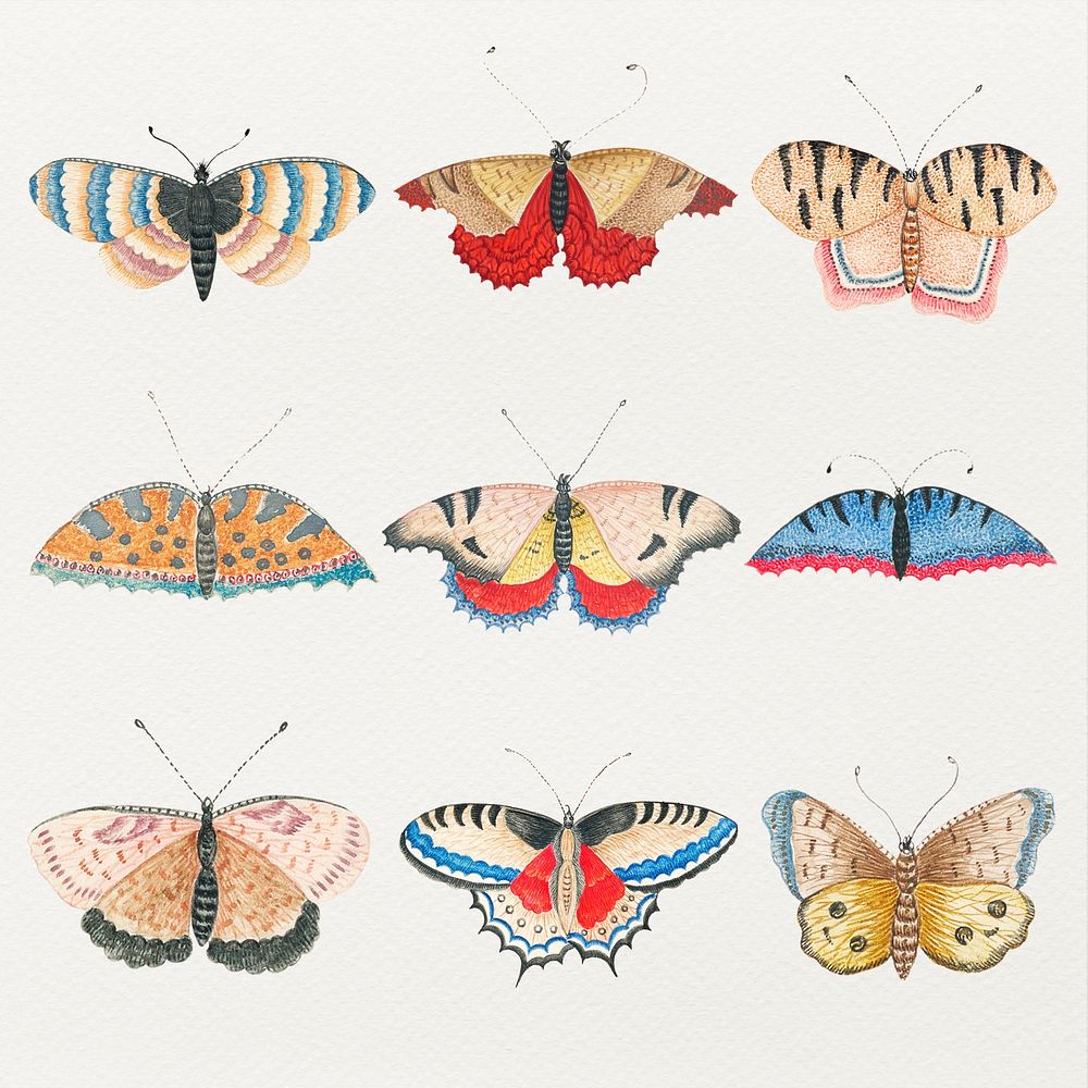 Vintage butterfly and moth watercolor psd illustration set, remixed from the 18th-century artworks from the Smithsonian…