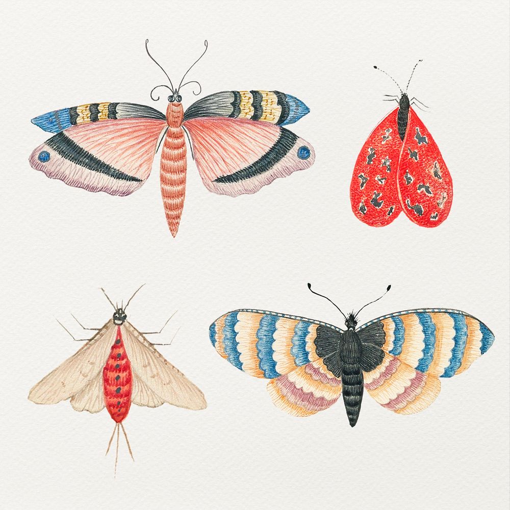 Vintage butterfly and moth watercolor psd illustration set, remixed from the 18th-century artworks from the Smithsonian…