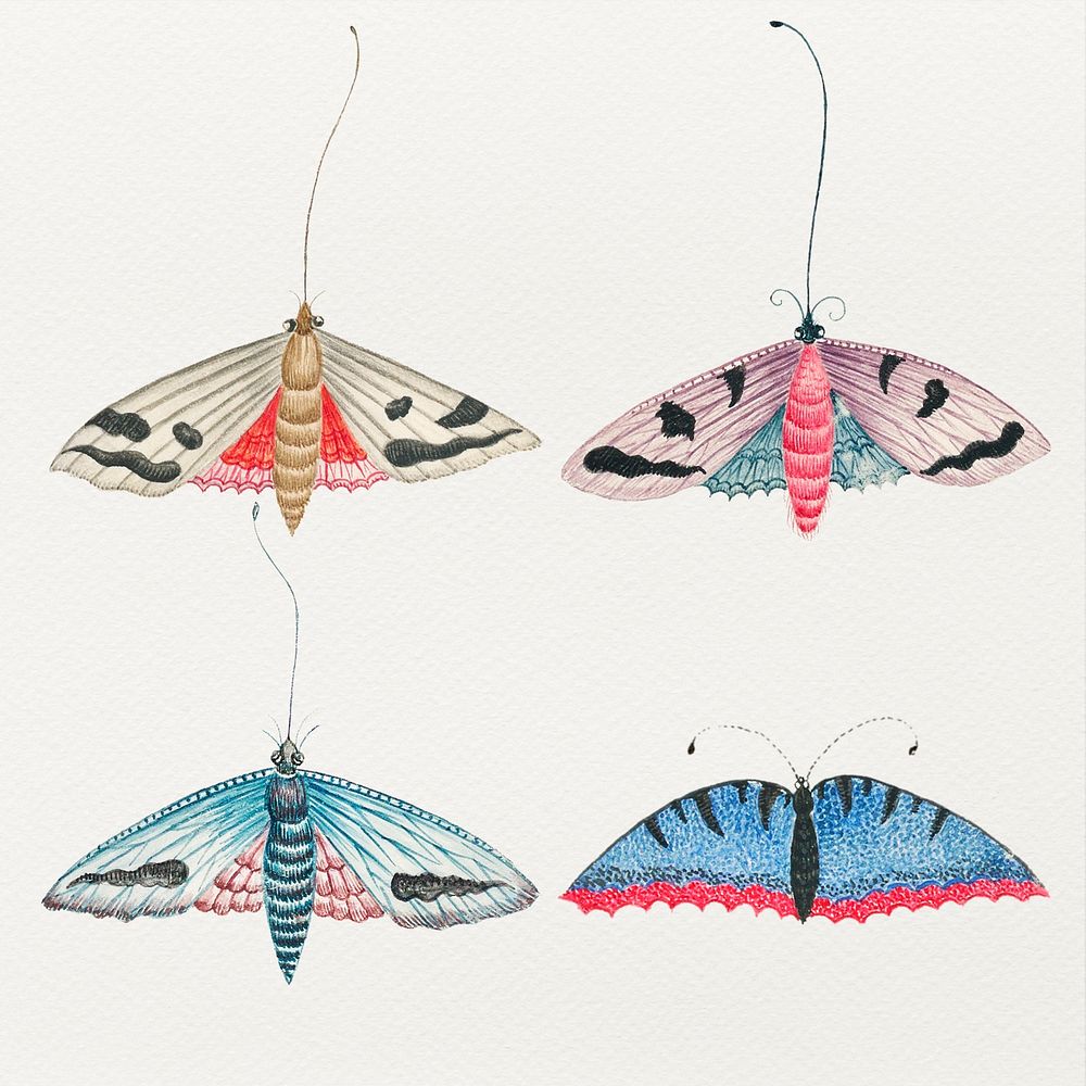 Watercolor butterfly and moth vintage psd illustration set, remixed from the 18th-century artworks from the Smithsonian…