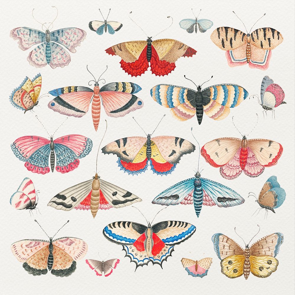 Vintage psd butterfly and moth watercolor set, remixed from the 18th-century artworks from the Smithsonian archive.