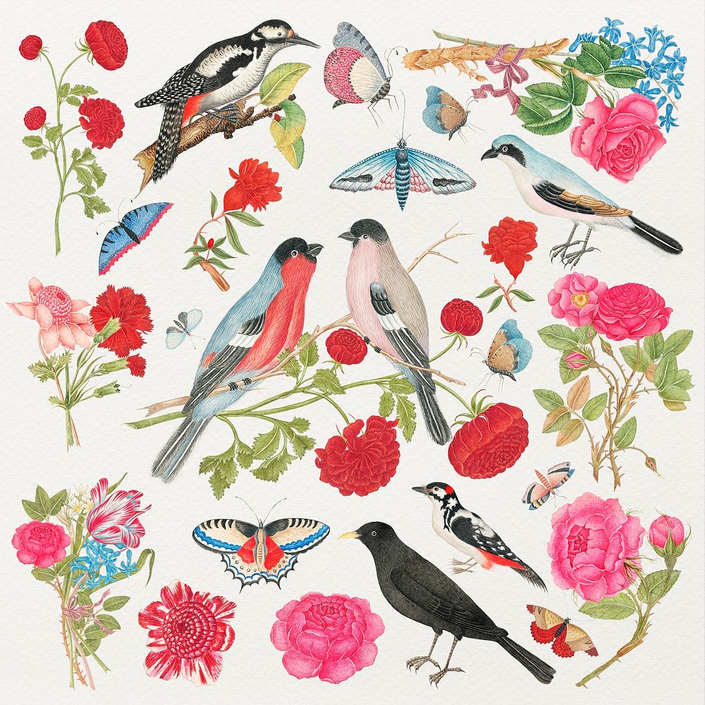 Vintage birds and flowers psd illustration set, remixed from the 18th-century artworks from the Smithsonian archive.
