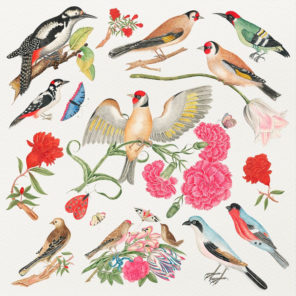 Vintage birds and flowers psd illustration set, remixed from the 18th-century artworks from the Smithsonian archive.