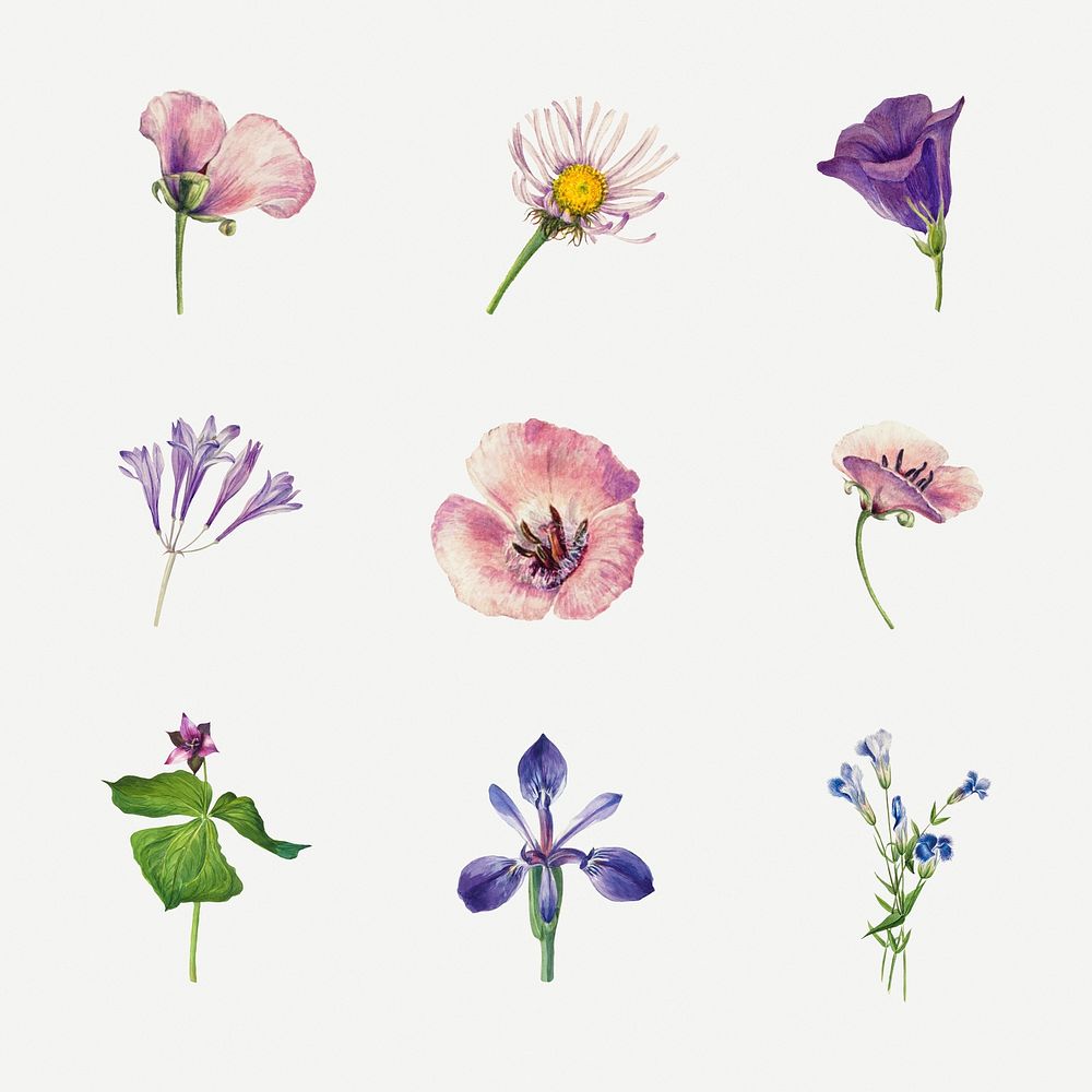 Purple wild plants psd illustration hand drawn set