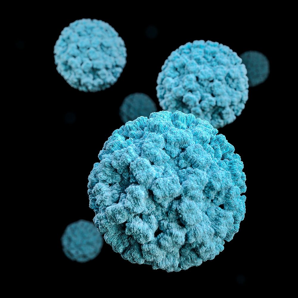 A 3D graphical representation of a number of norovirus virions, set against a black background.