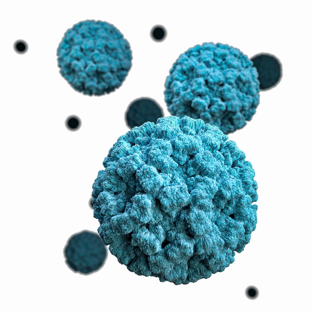 A 3D graphical representation of a number of norovirus virions, set against a white background.