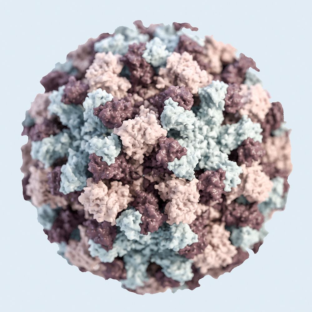 A 3D illustration of graphical representation of a single norovirus virion