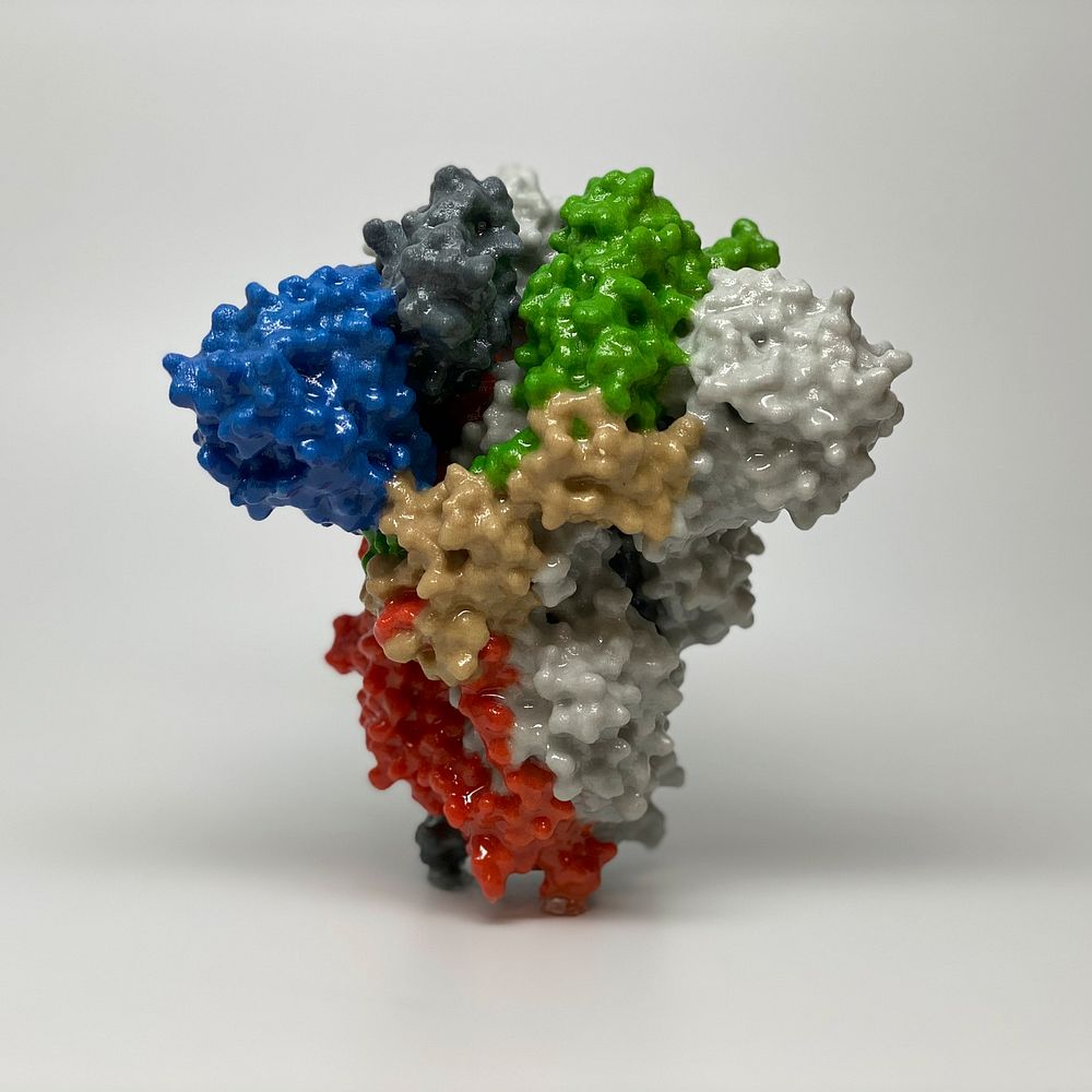 3D print of a spike protein on the surface of SARS-CoV-2&mdash;also known as 2019-nCoV, the virus that causes COVID-19.…