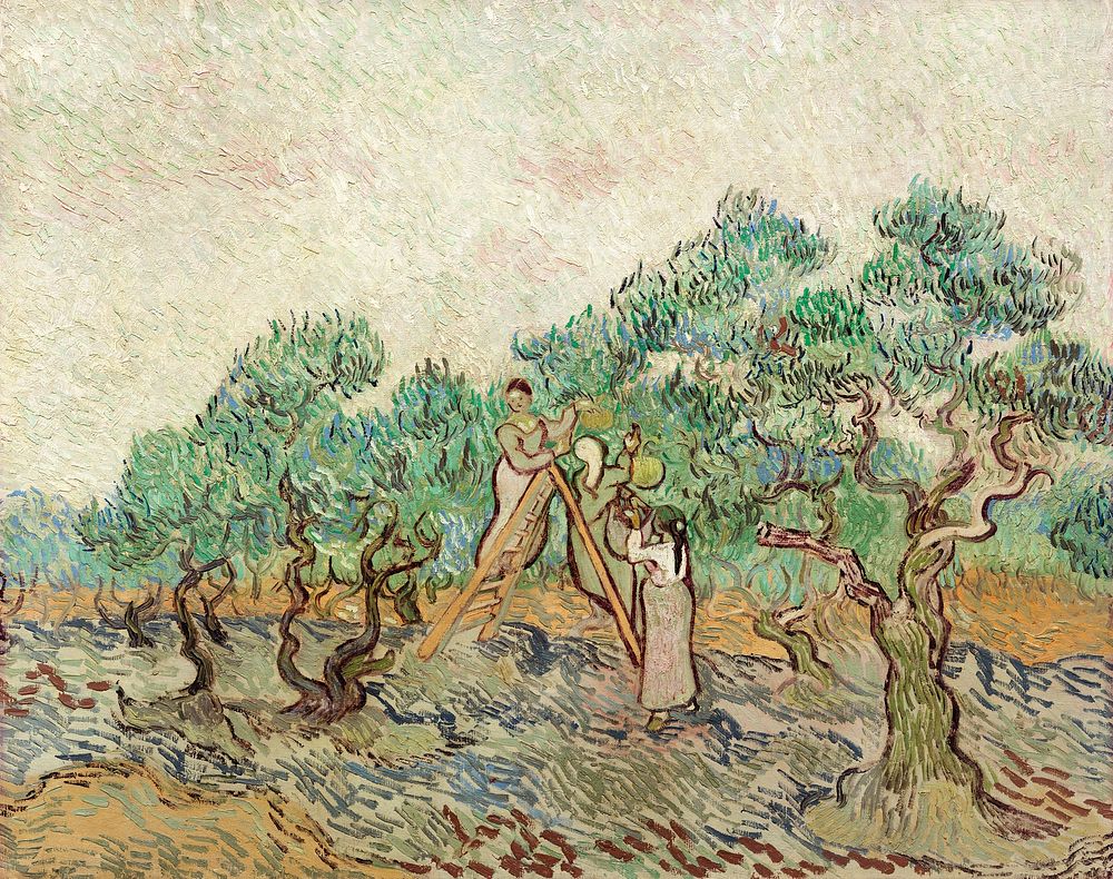 The Olive Orchard (1889) by Vincent van Gogh. Original from The National Gallery of Art. Digitally enhanced by rawpixel.