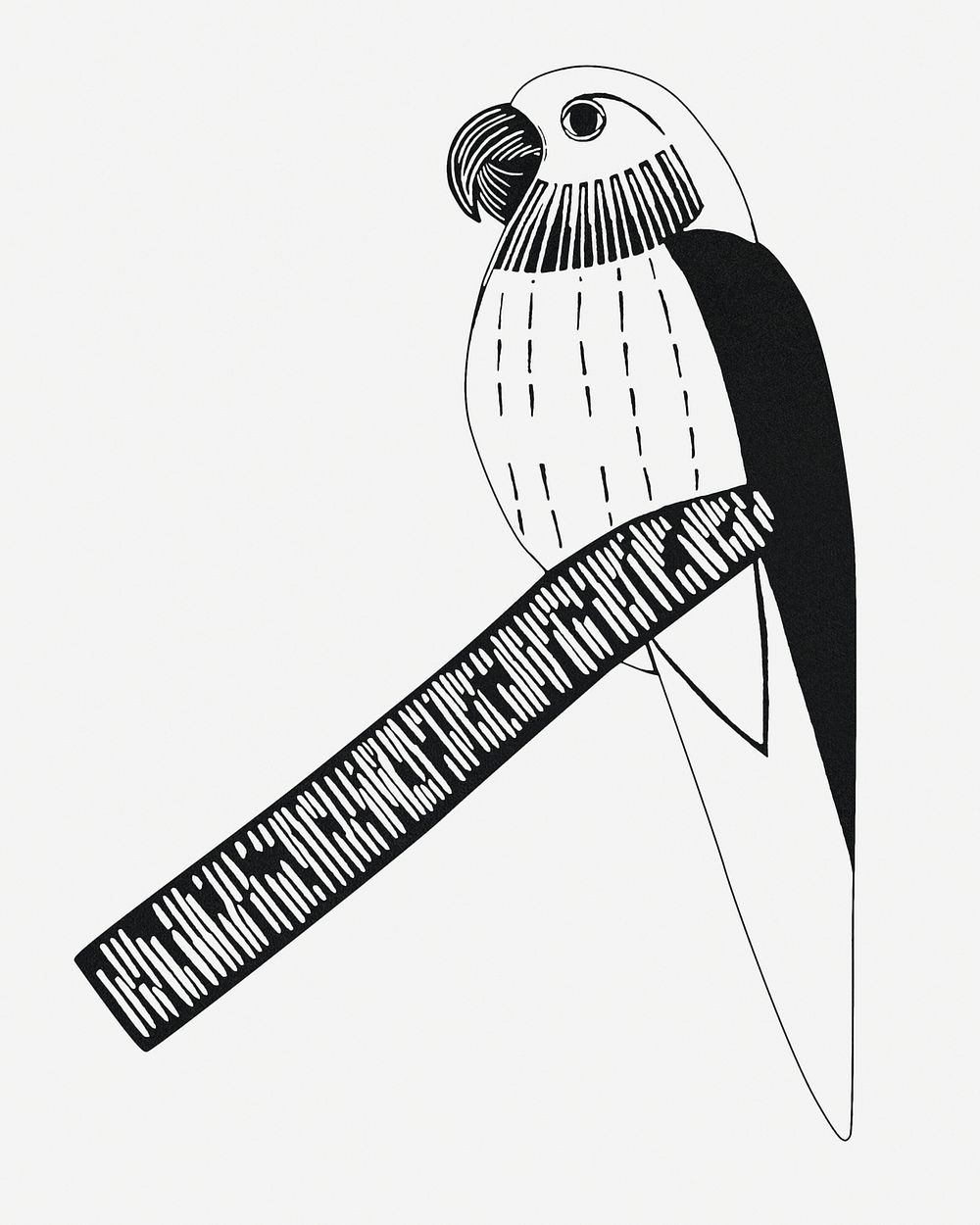 Vintage parakeet animal art print, remix from artworks by Samuel Jessurun de Mesquita