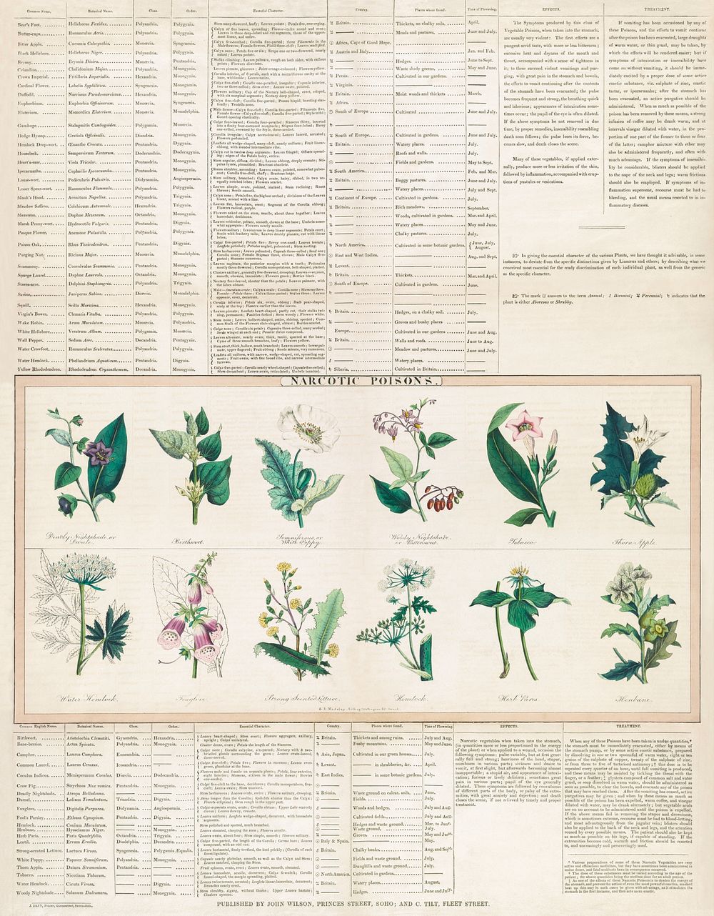 Narcotic poisons (1843) print in high resolution by George Edward Madeley. Original from Library of Congress. Digitally…