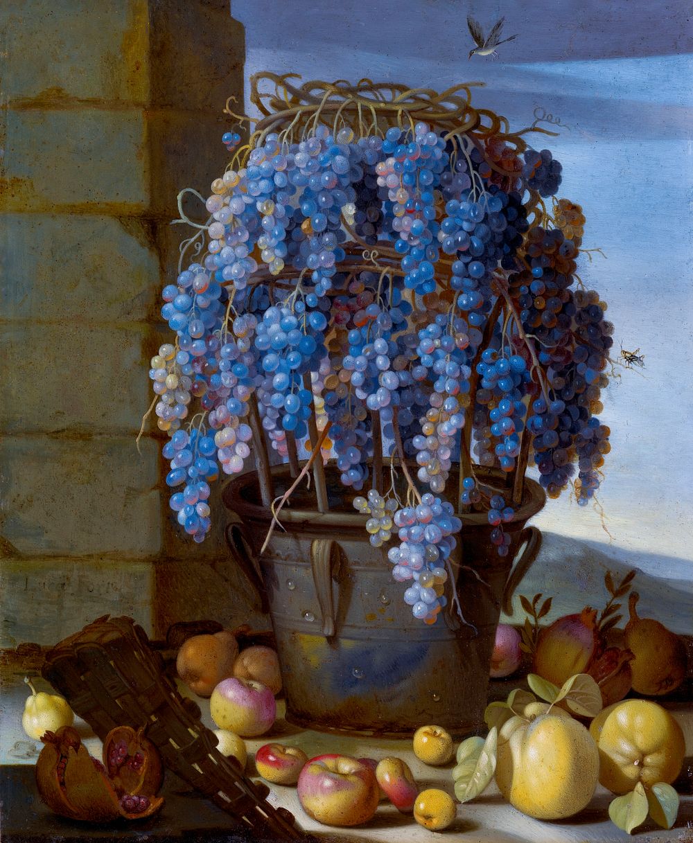 Still Life with Grapes and Other Fruit (1630s) painting in high resolution by Luca Forte. Original from Getty Museum.…