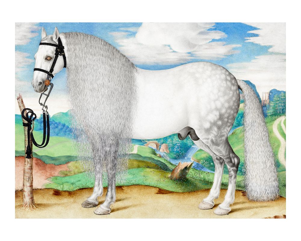 White horse art print, vintage painting, digitally enhanced public domain artwork